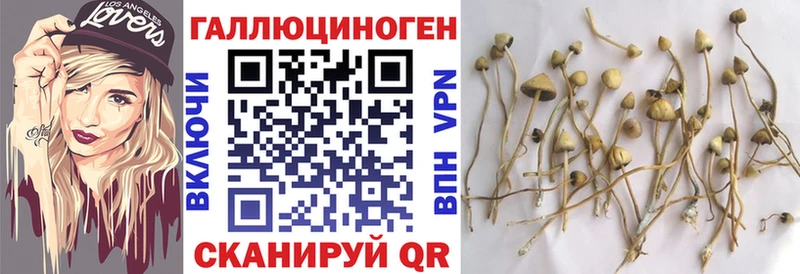 Купить  Ряжск  Галлюциногенные грибы мухоморы 